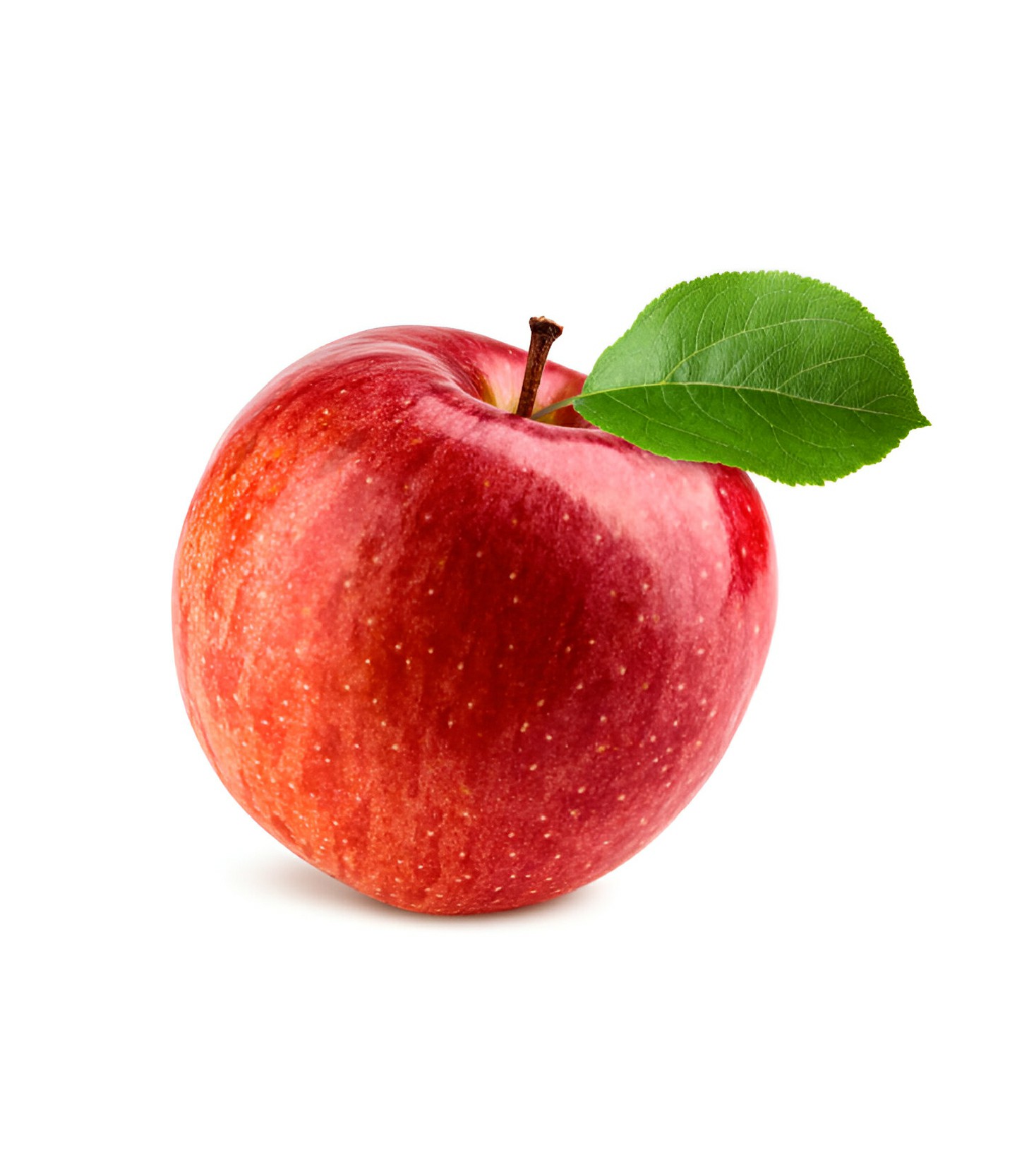 Apple - apel (1)