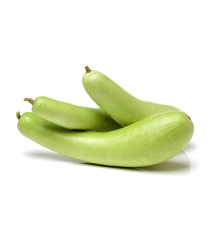 Bottle Gourd - Lau (1)