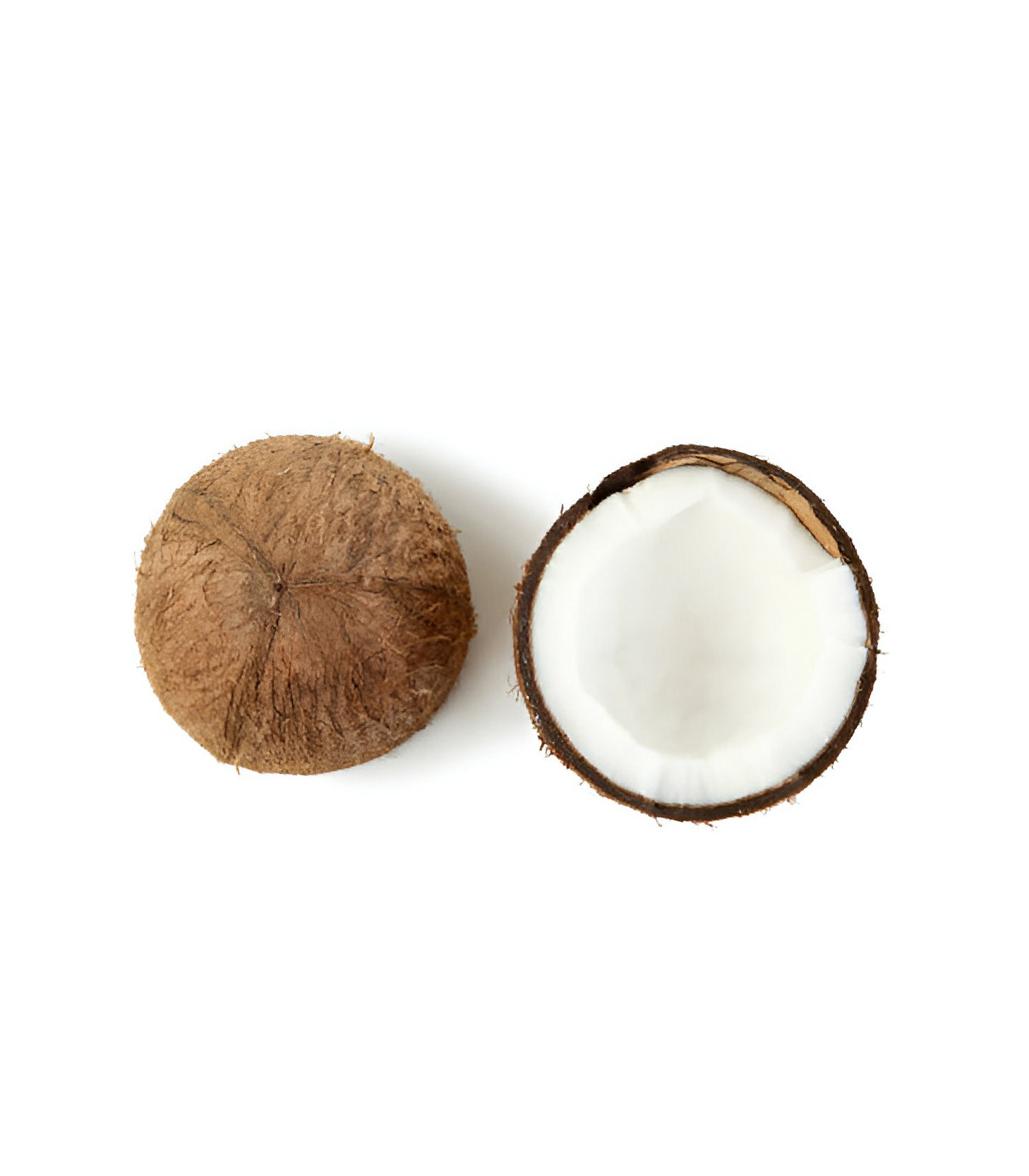 Coconut - Narikel (1)