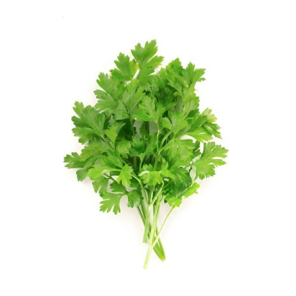Dhonia Pata (Coriander Leaves)