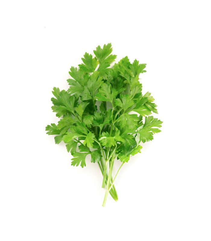 Coriander Leaves - Dhone Pata (1)