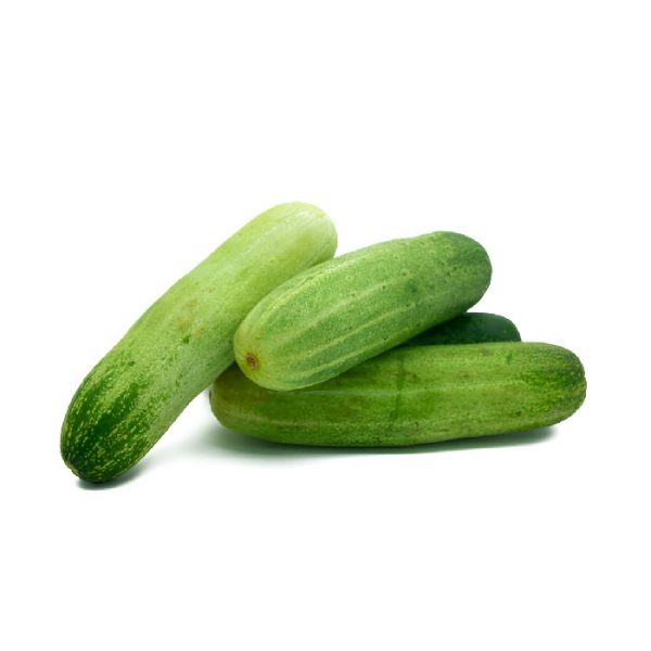 Shosha (Cucumber)