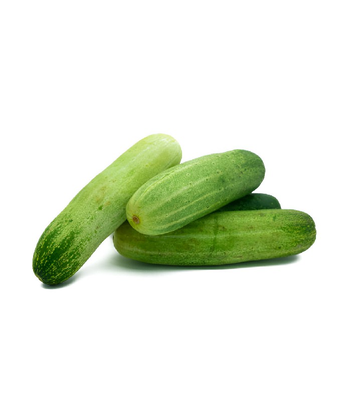 Cucumber - Shosha (1)