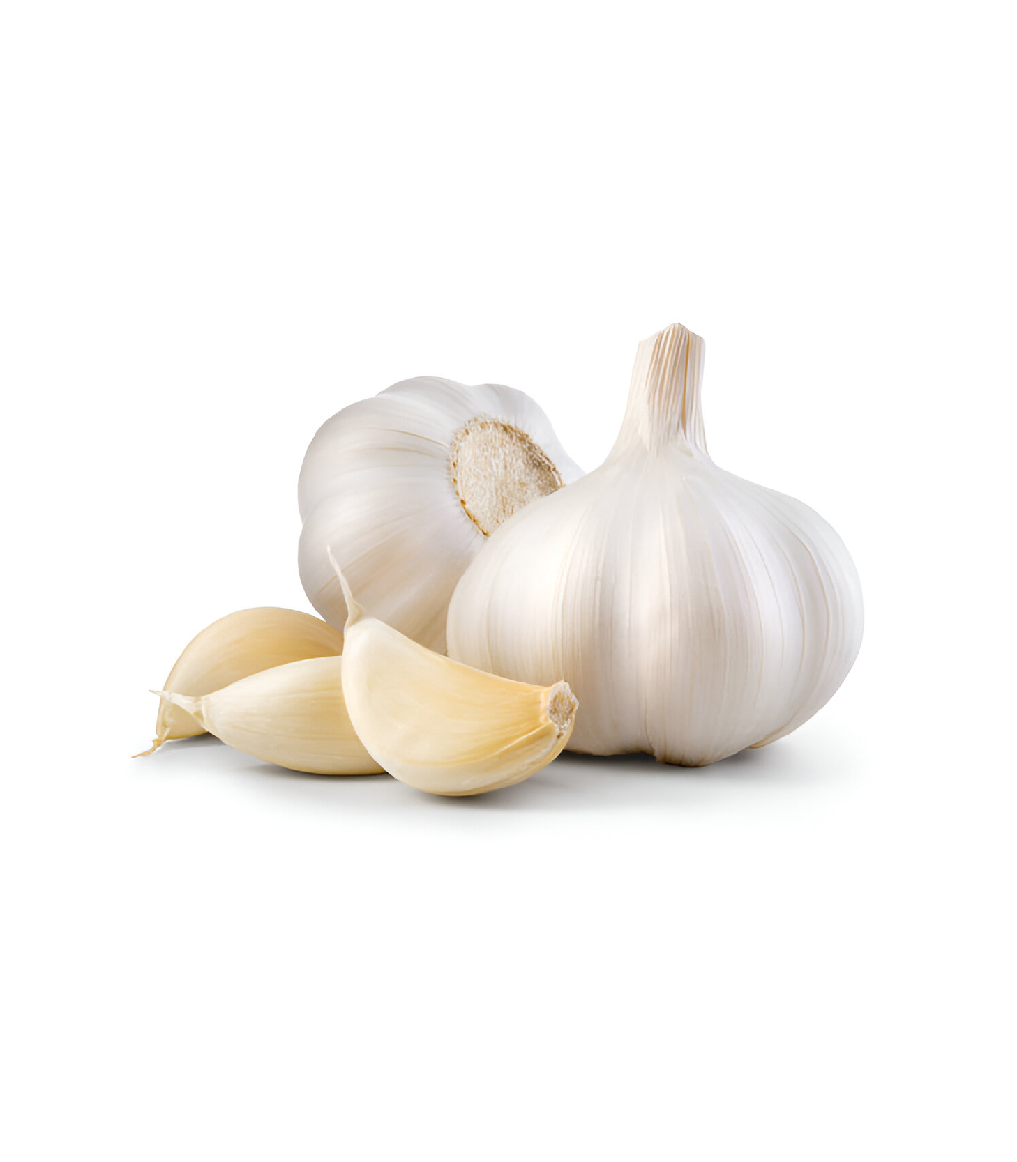 Garlic - Roshun (1)