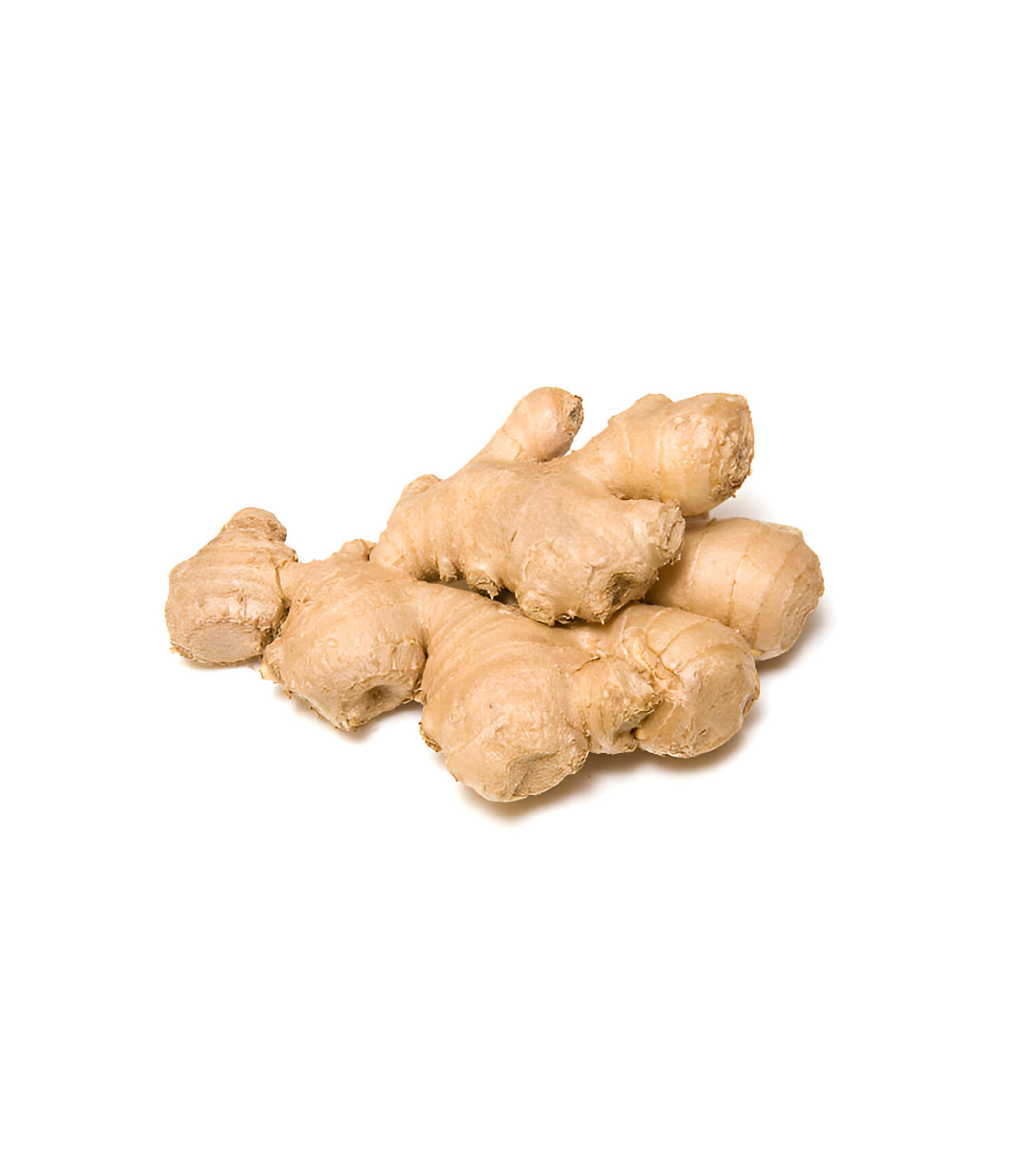 Ginger - Ada (1)
