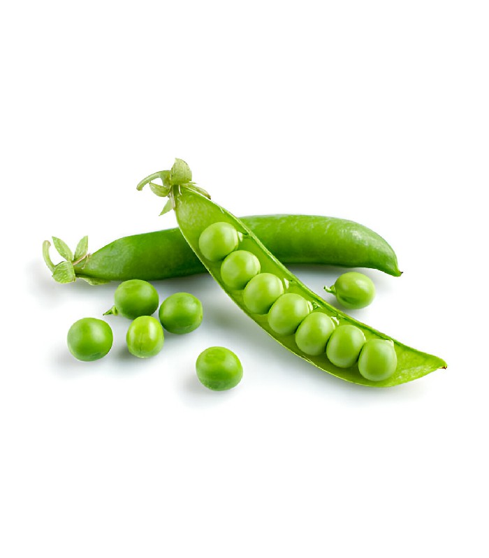 Green Peas - Motorshuti (1)