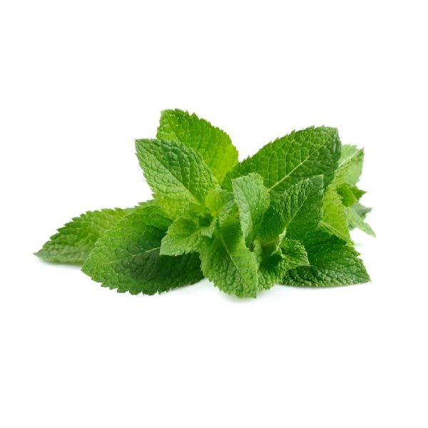 Pudina (Mint)