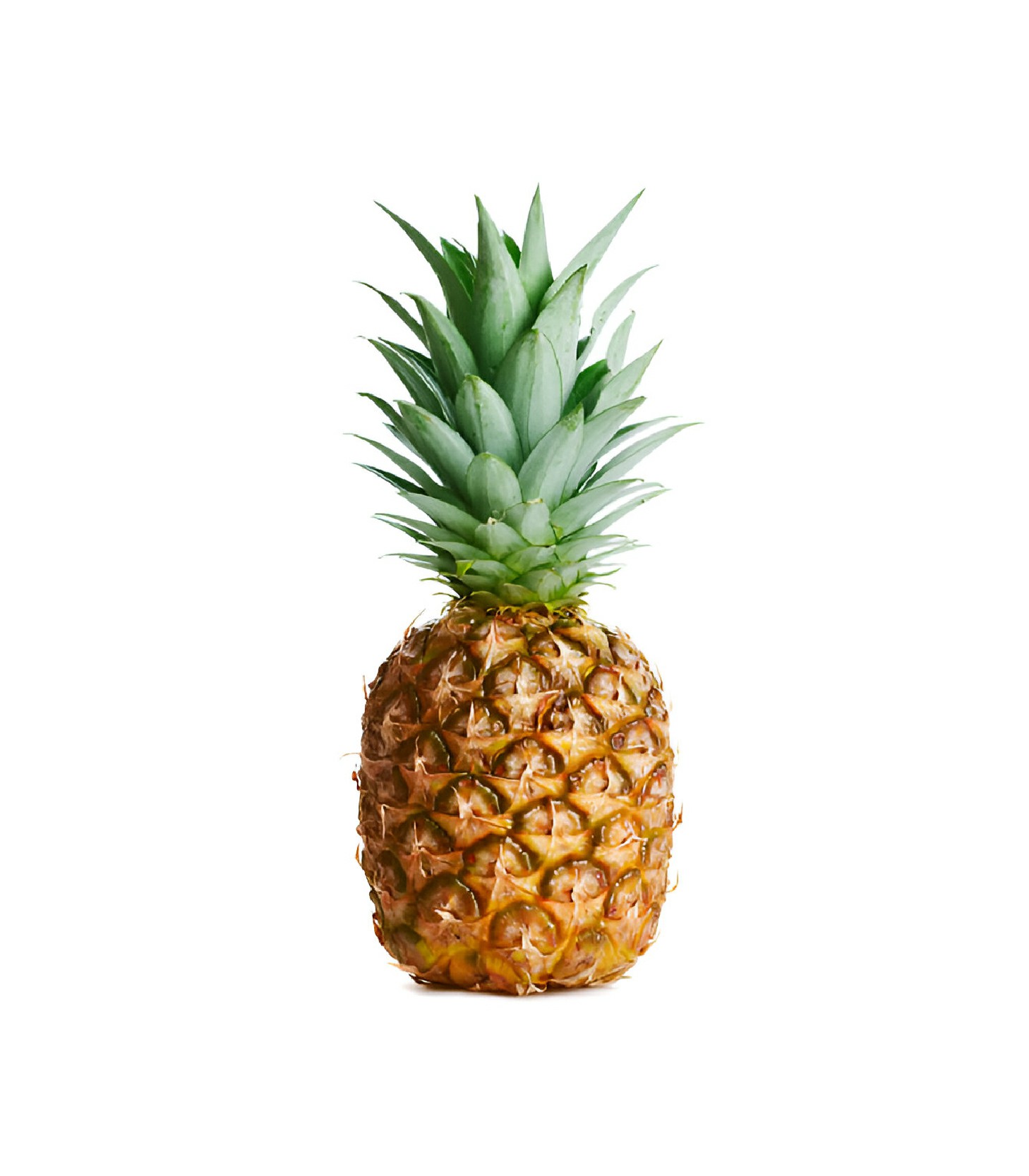 Pineapple - Anarosh (1)