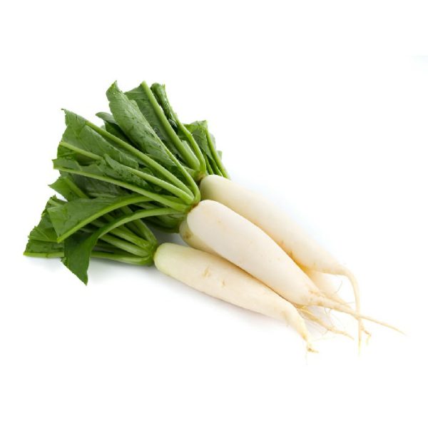 Mula (Radish)