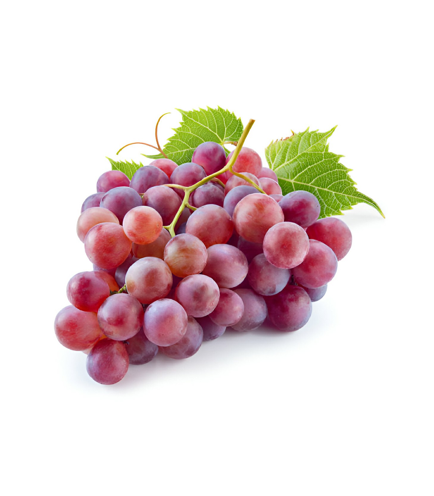 Red Grapes (1)