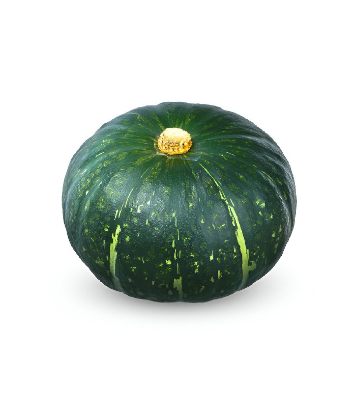 Sweet Pumpkin - Misty Kumra (1)