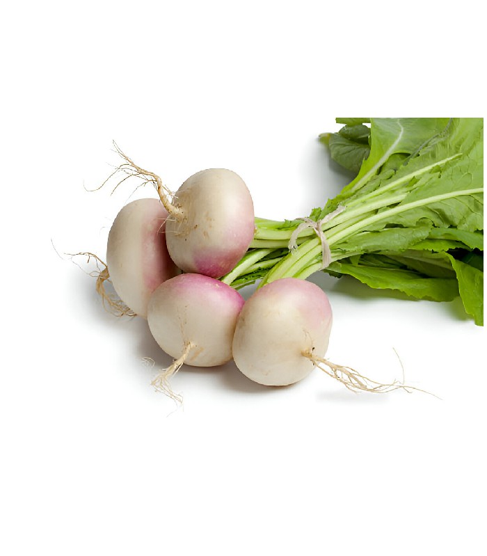 Turnip - Shalgom (1)